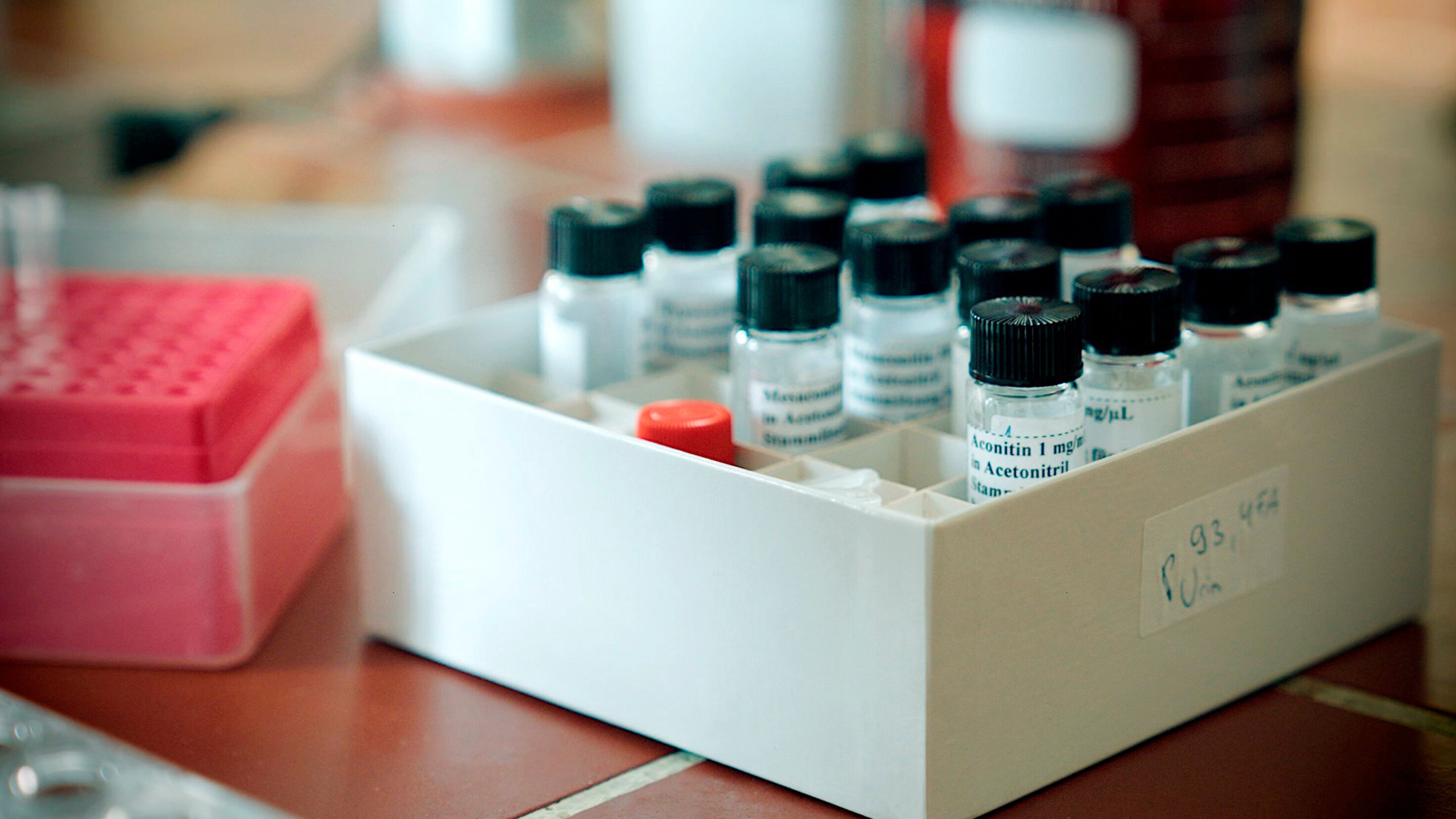 Auf den Spuren eines Giftmischers: Der Stalker