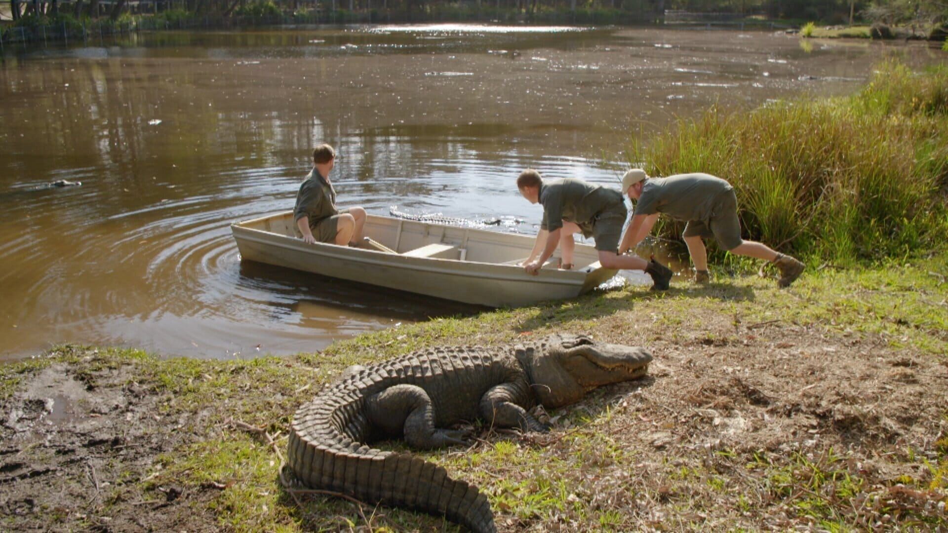 Australiens Tierrettung – Einsatz am Bondi Beach