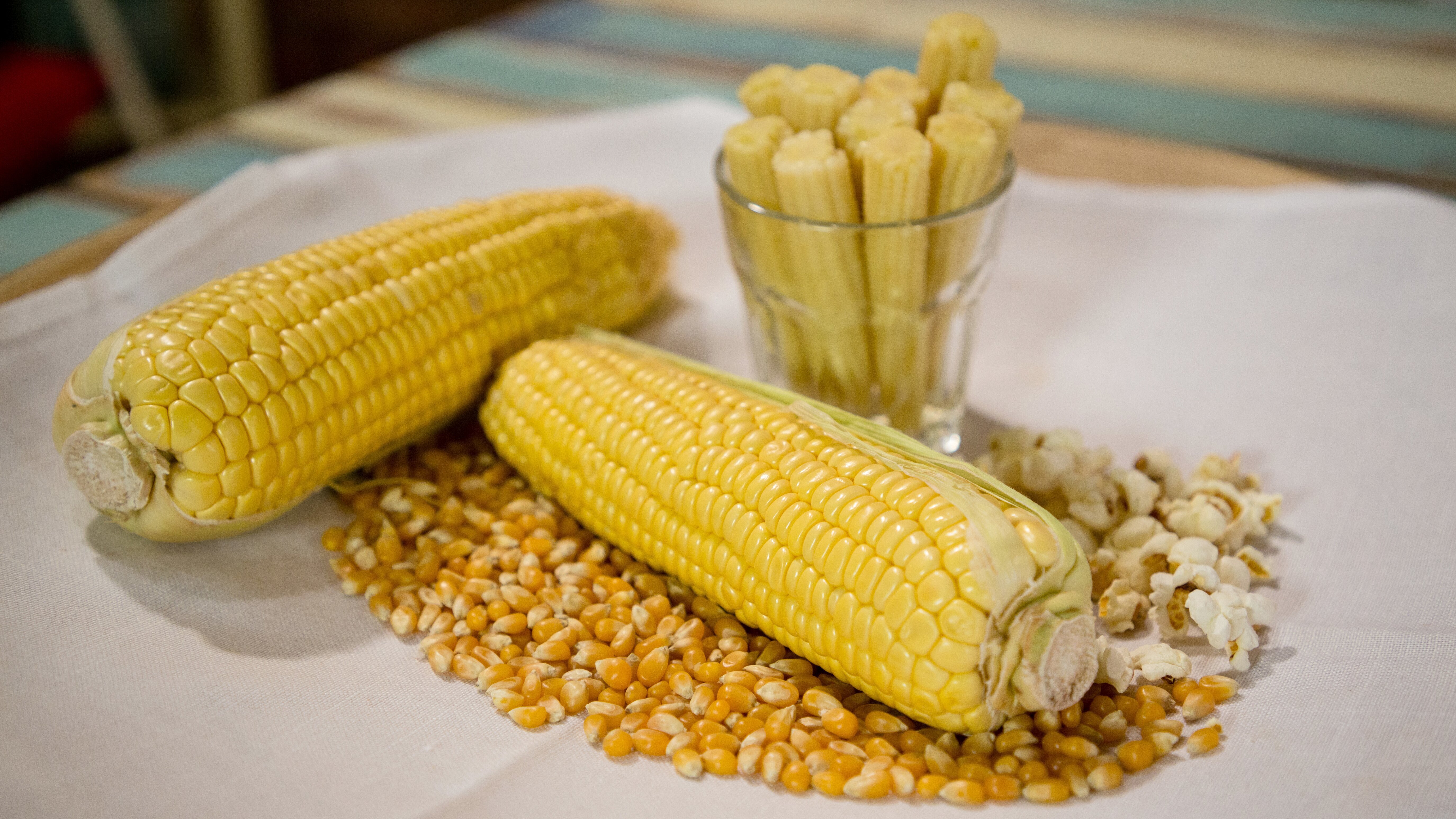 Schmatzo – Kochen mit WOW