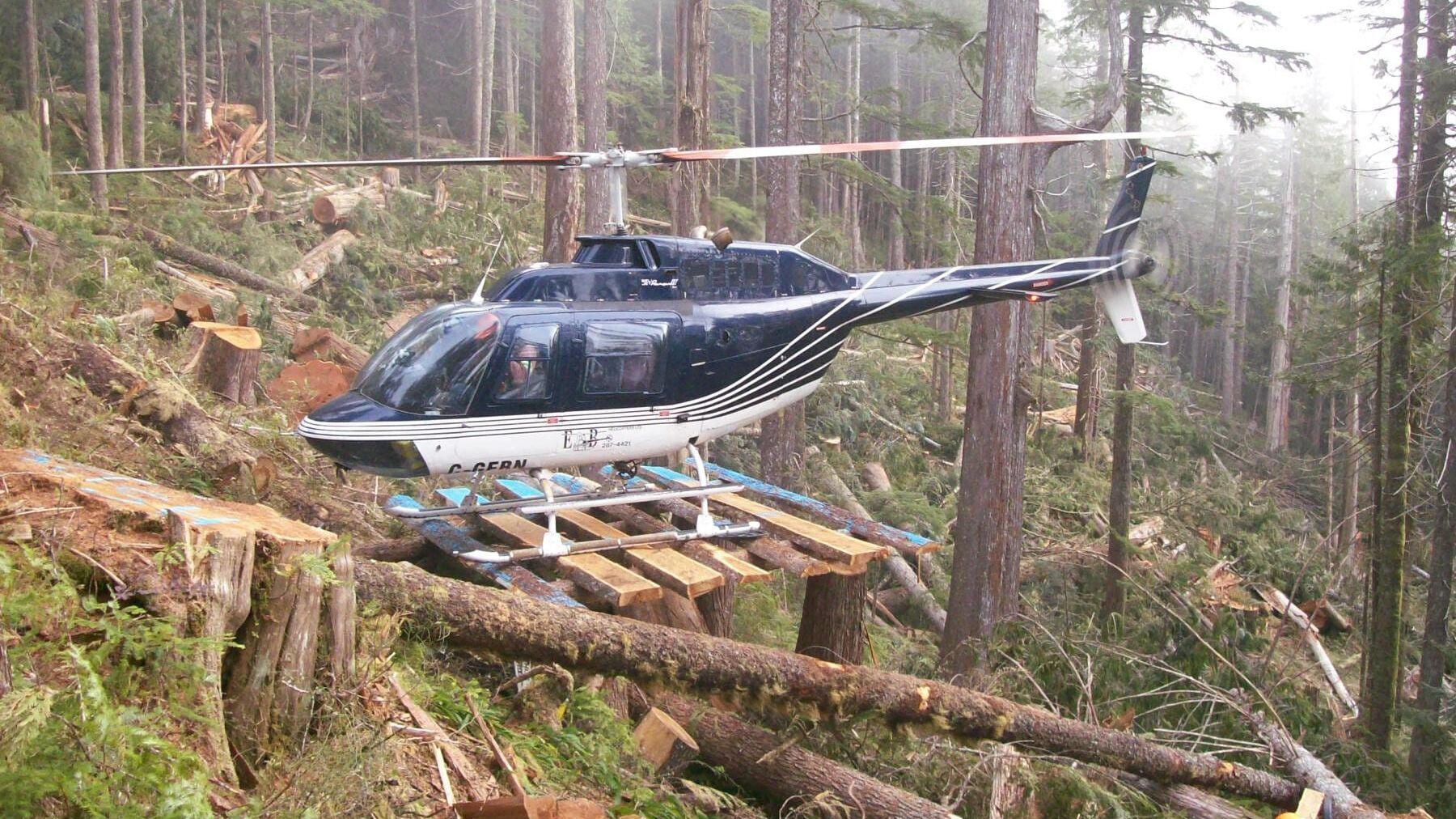 Holzfäller extrem