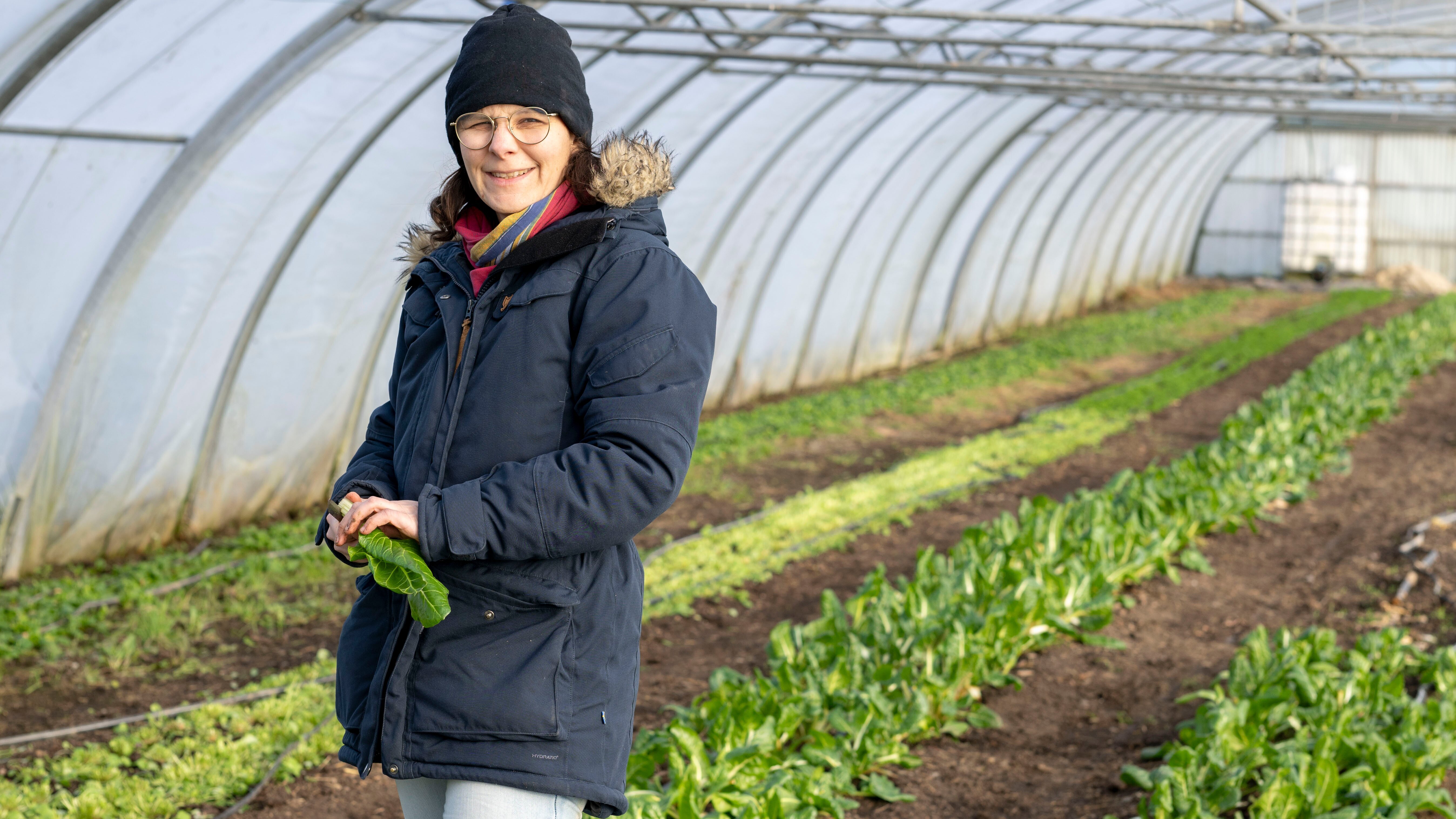 Land und lecker im Advent