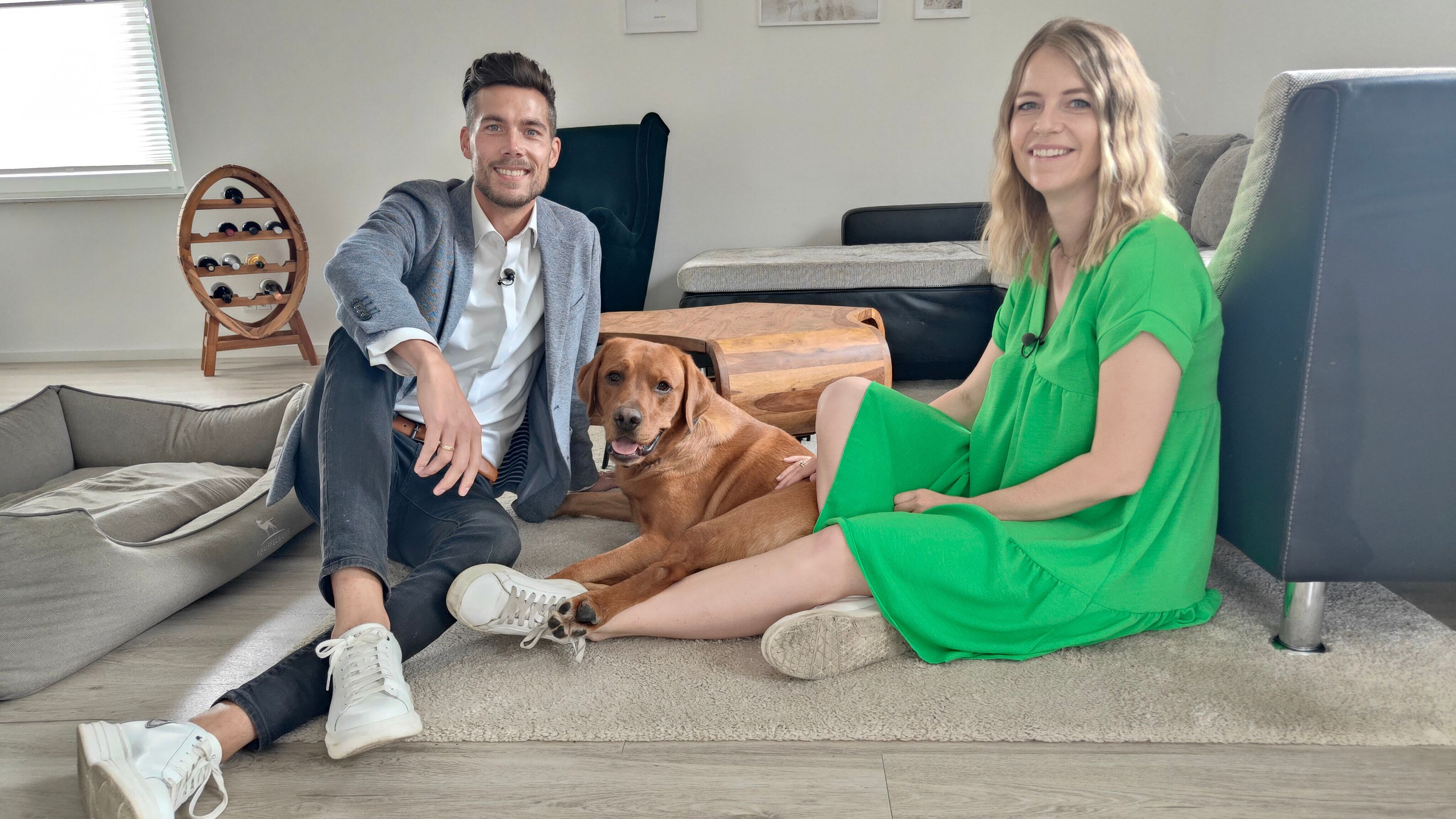 Der Hundeprofi – Rütters Team
