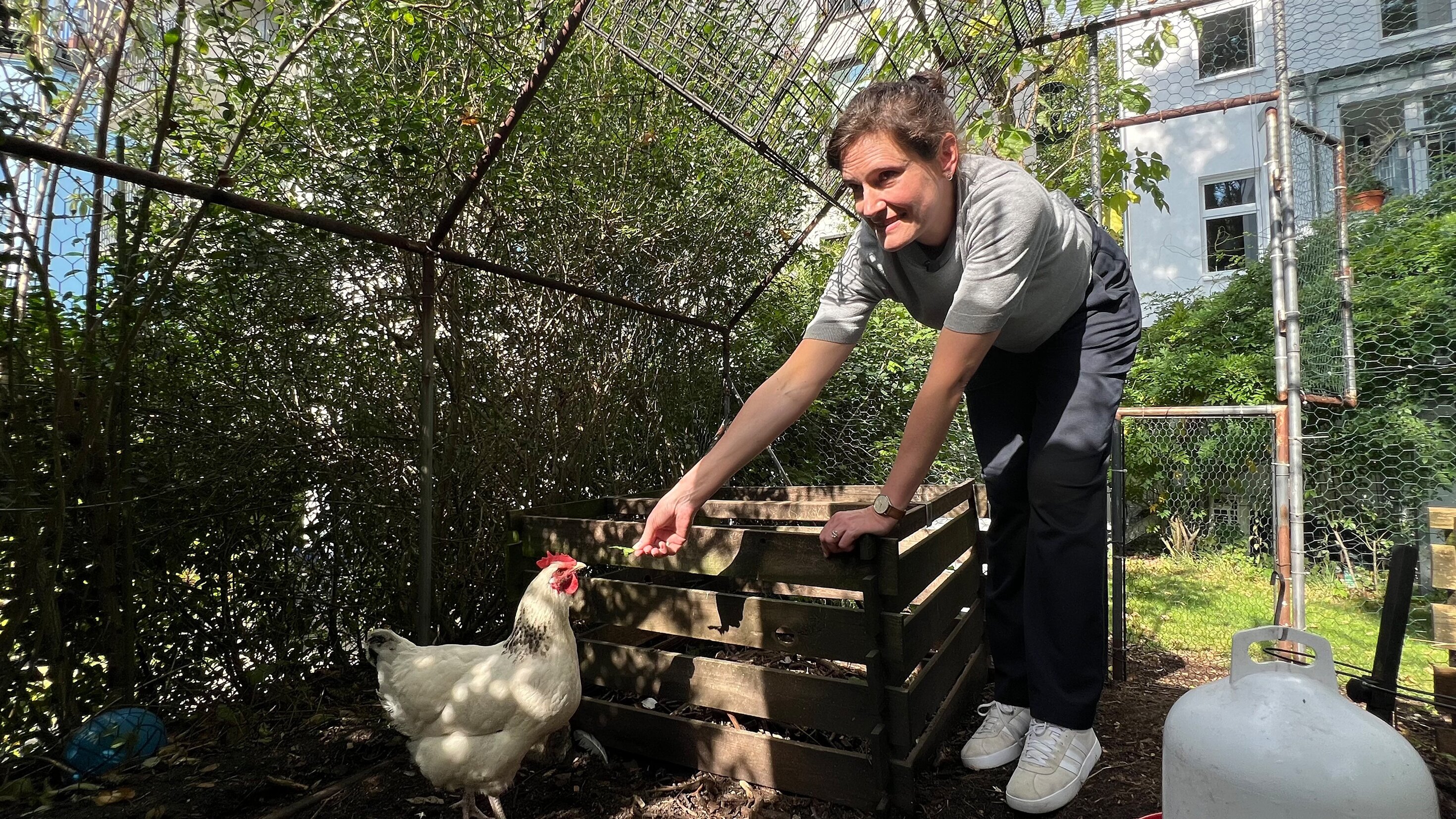 Hamburgs geheime Hinterhöfe