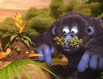 Les as de la jungle à la rescousse