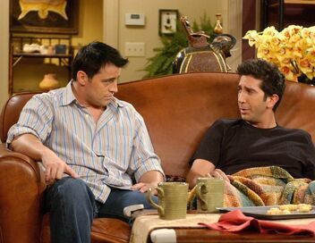 Friends