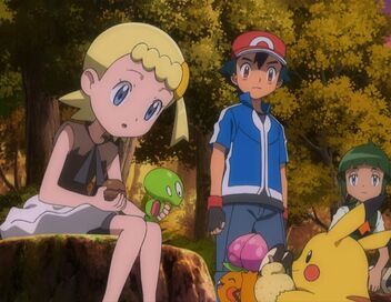 Pokémon : XY