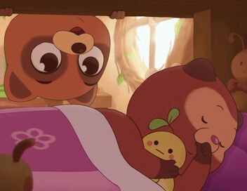 Taki Tanuki
