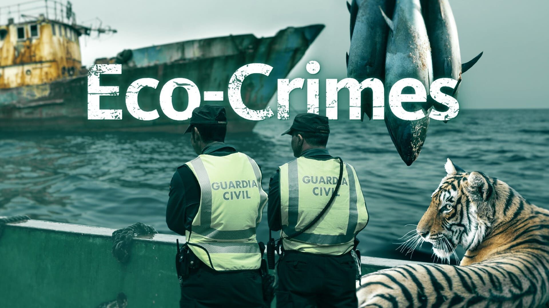 Eco-Crimes