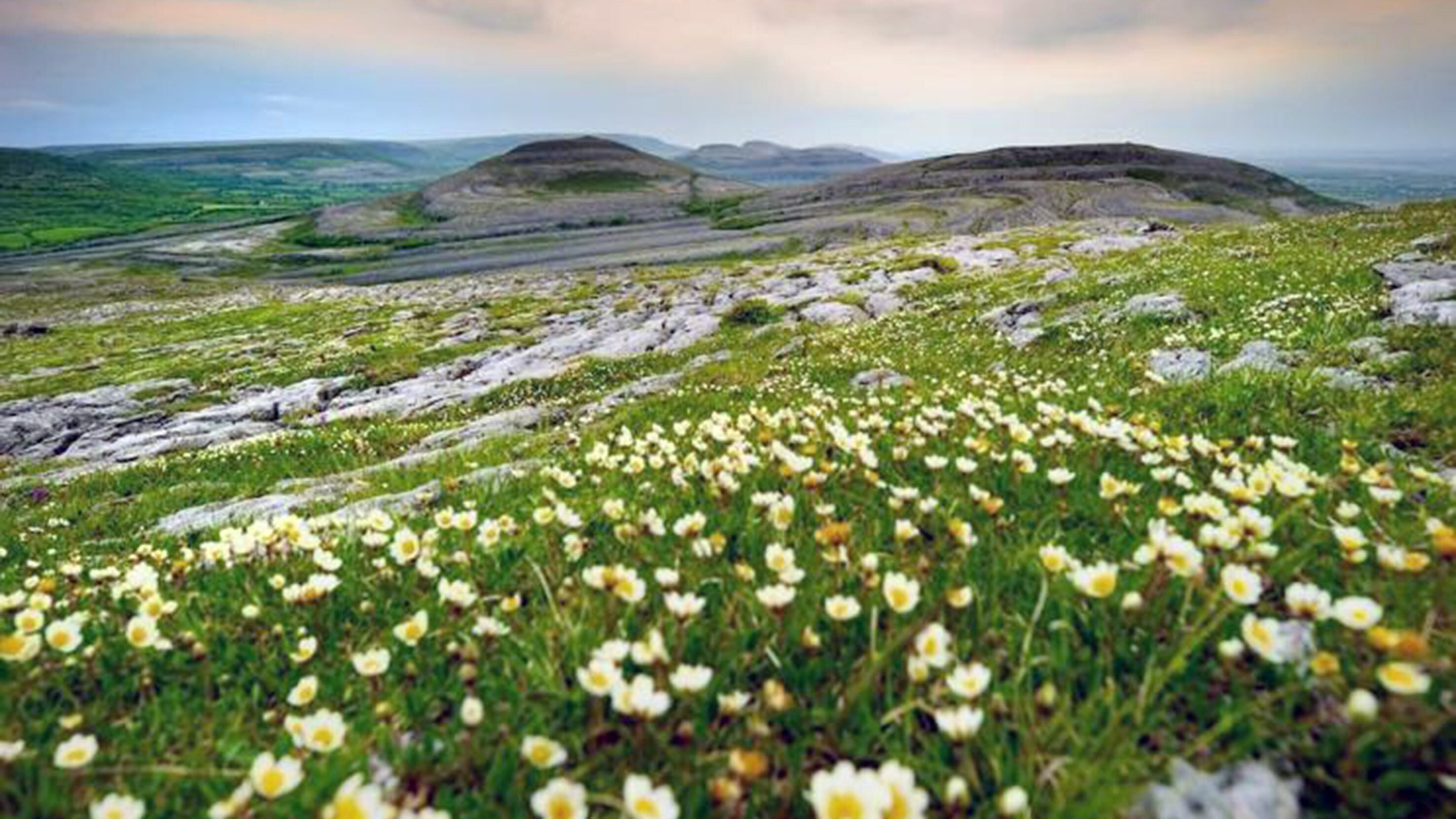 Irland – Grüne Insel, graue Steinwüste