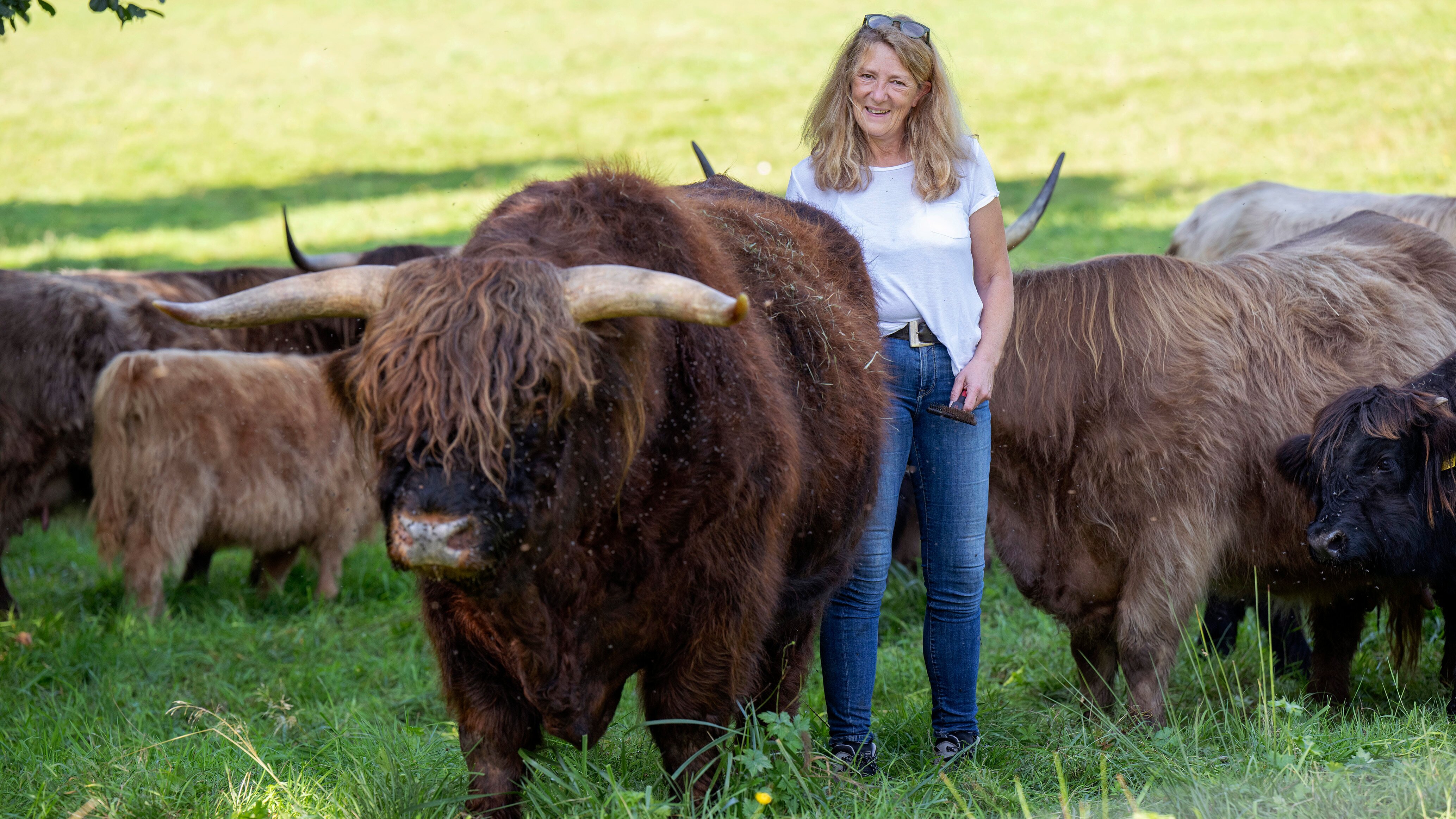Land & lecker – Kulinarische Schätze