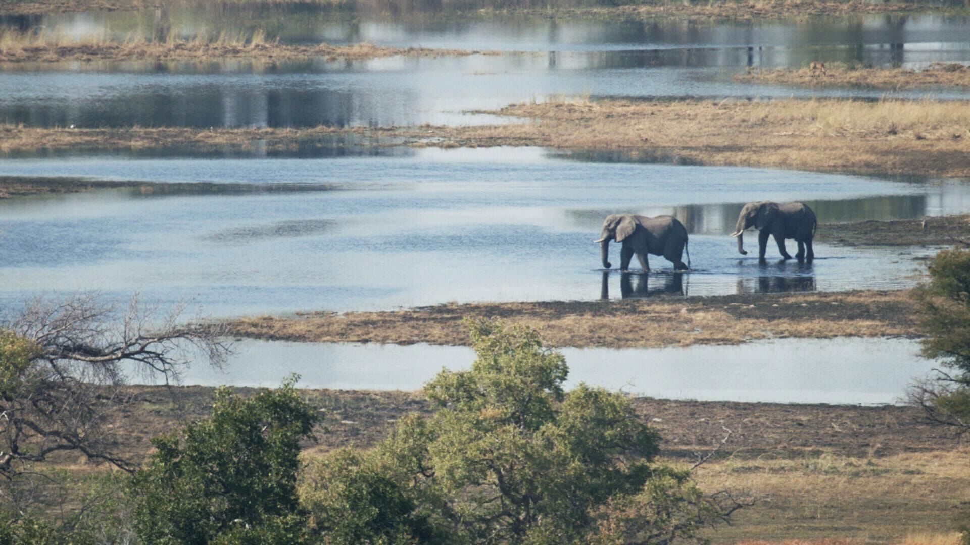 Extreme Airport Africa