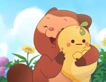 Taki Tanuki