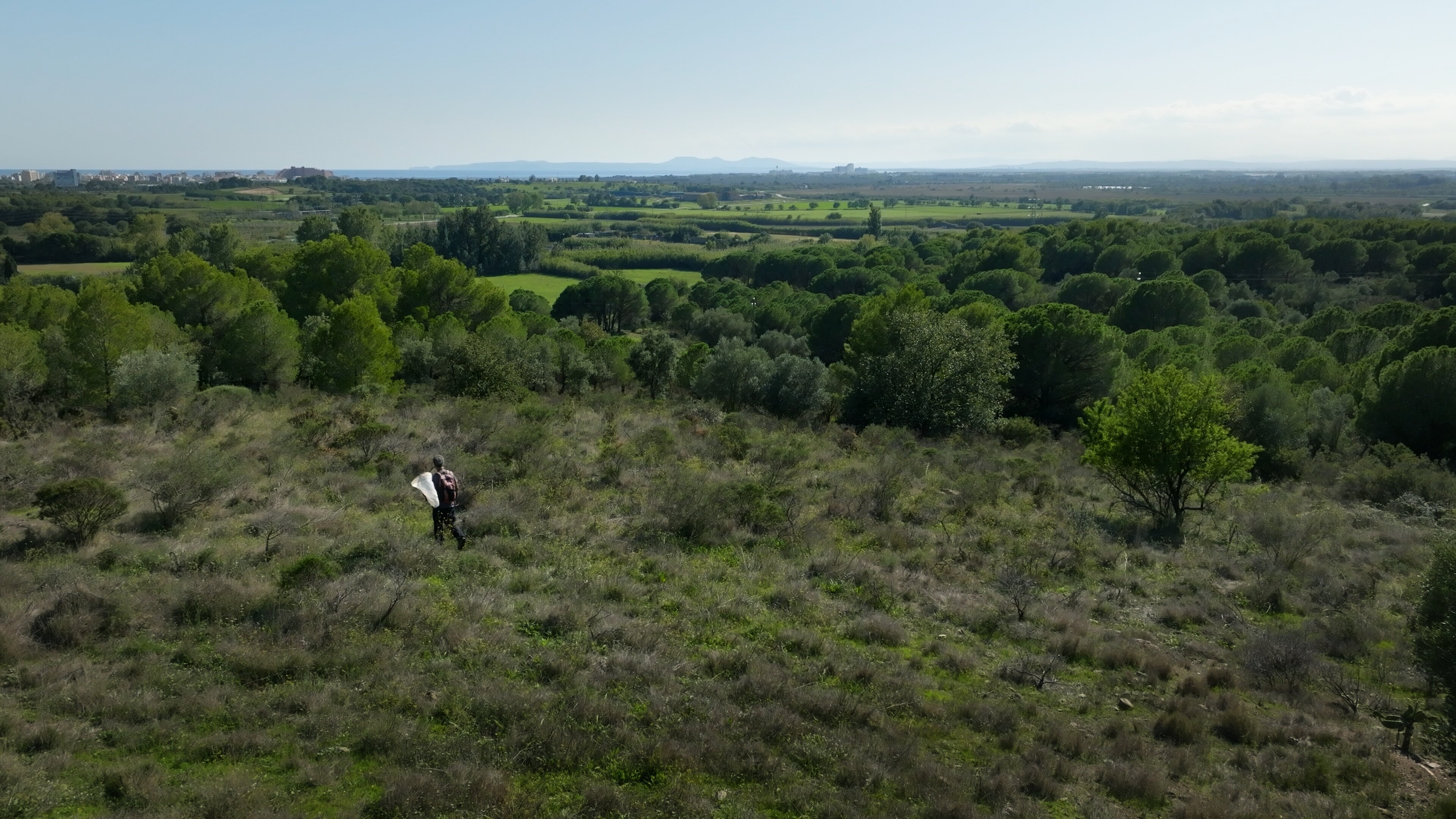 Schmetterlinge!!! – Superhelden der Natur