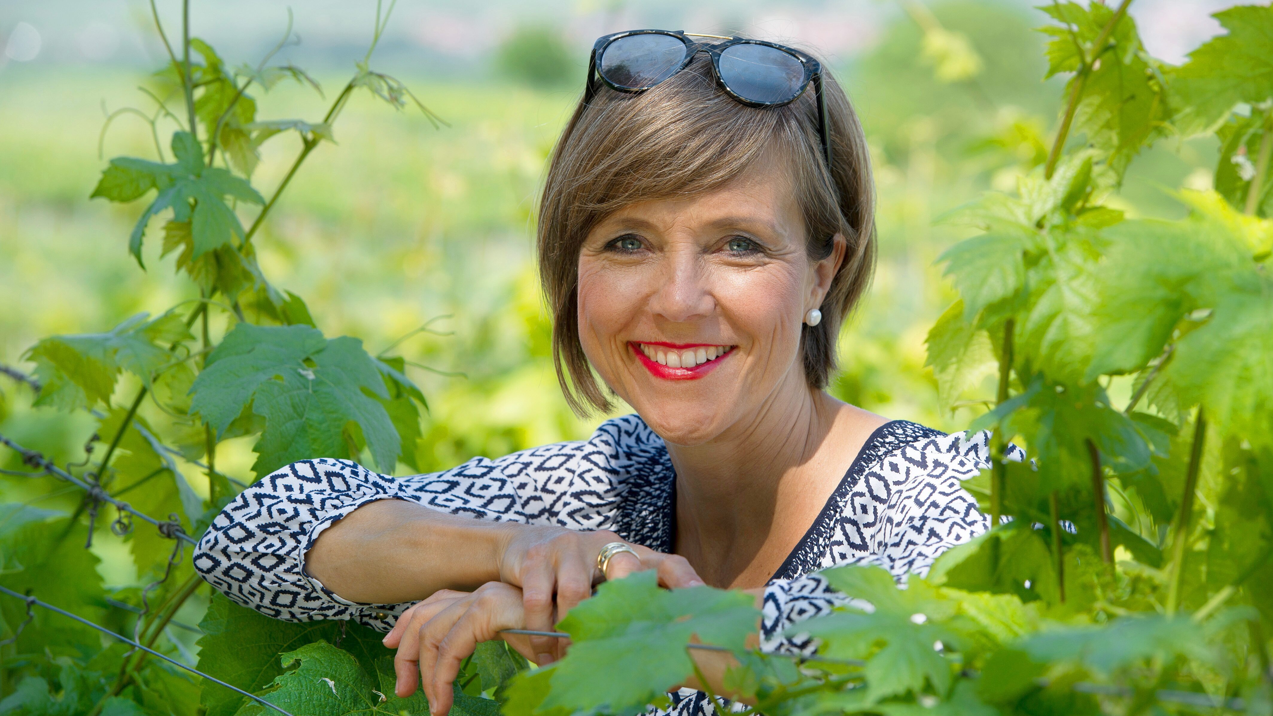 Expedition in die Heimat