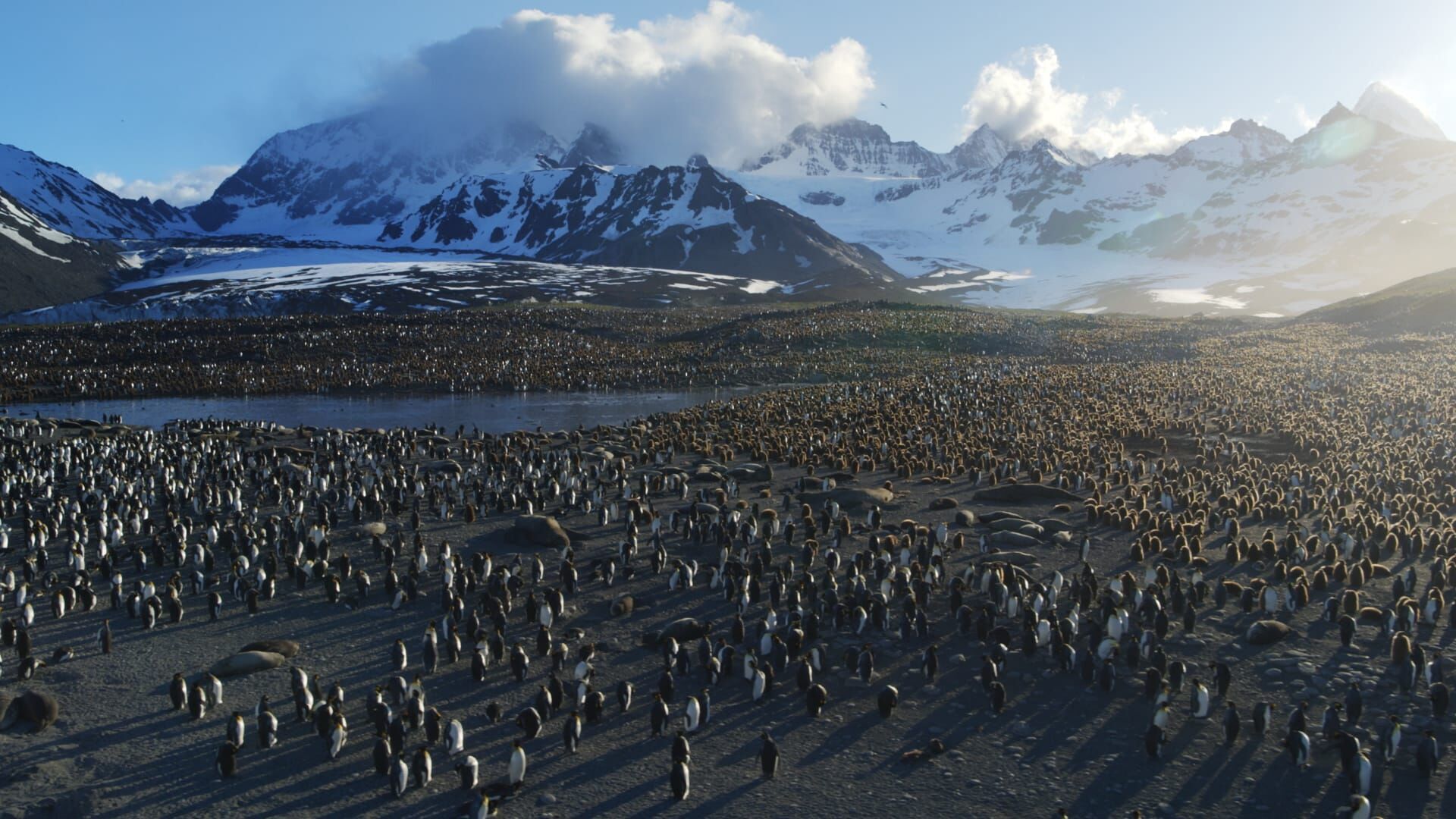 Natur – Die Geschichte unseres Planeten