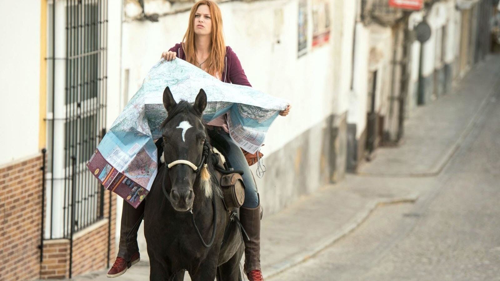 Ostwind (3)