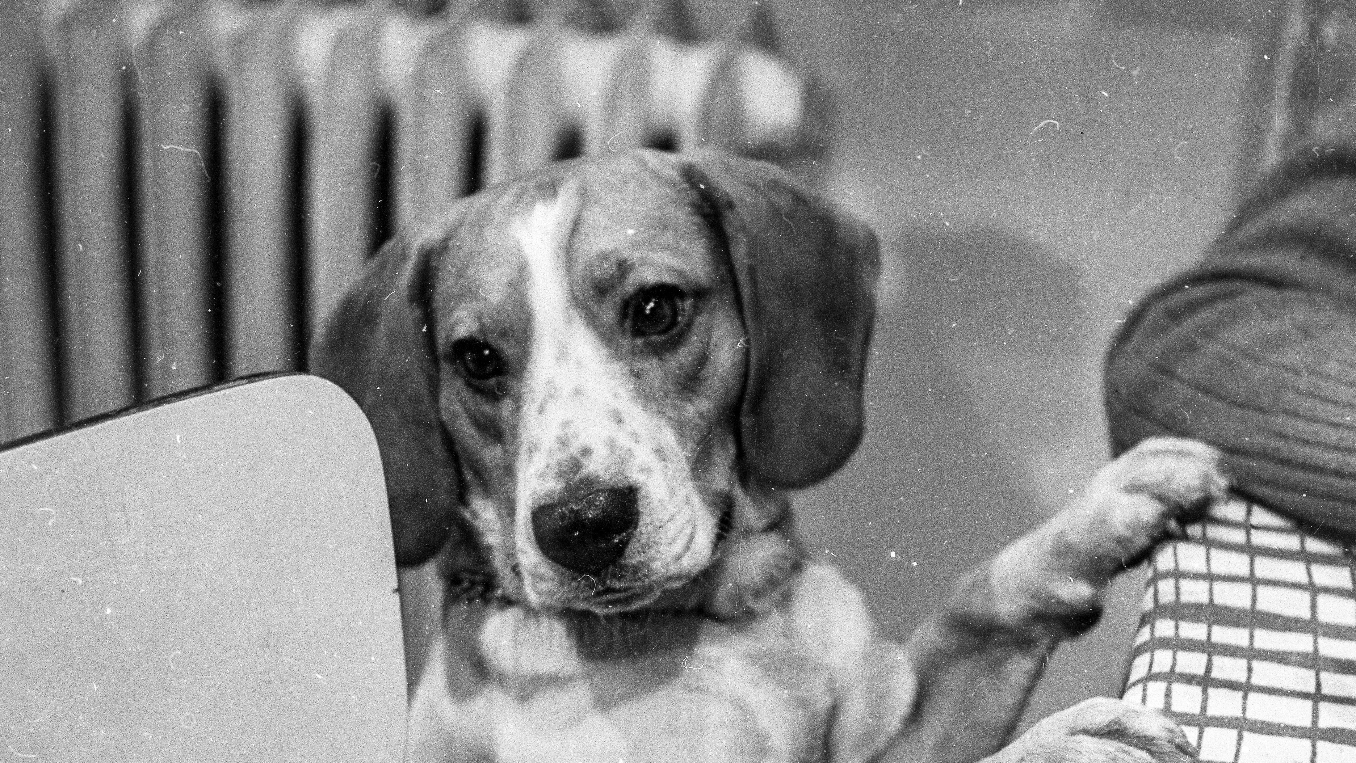 Pan Tau – Schöne Bescherung