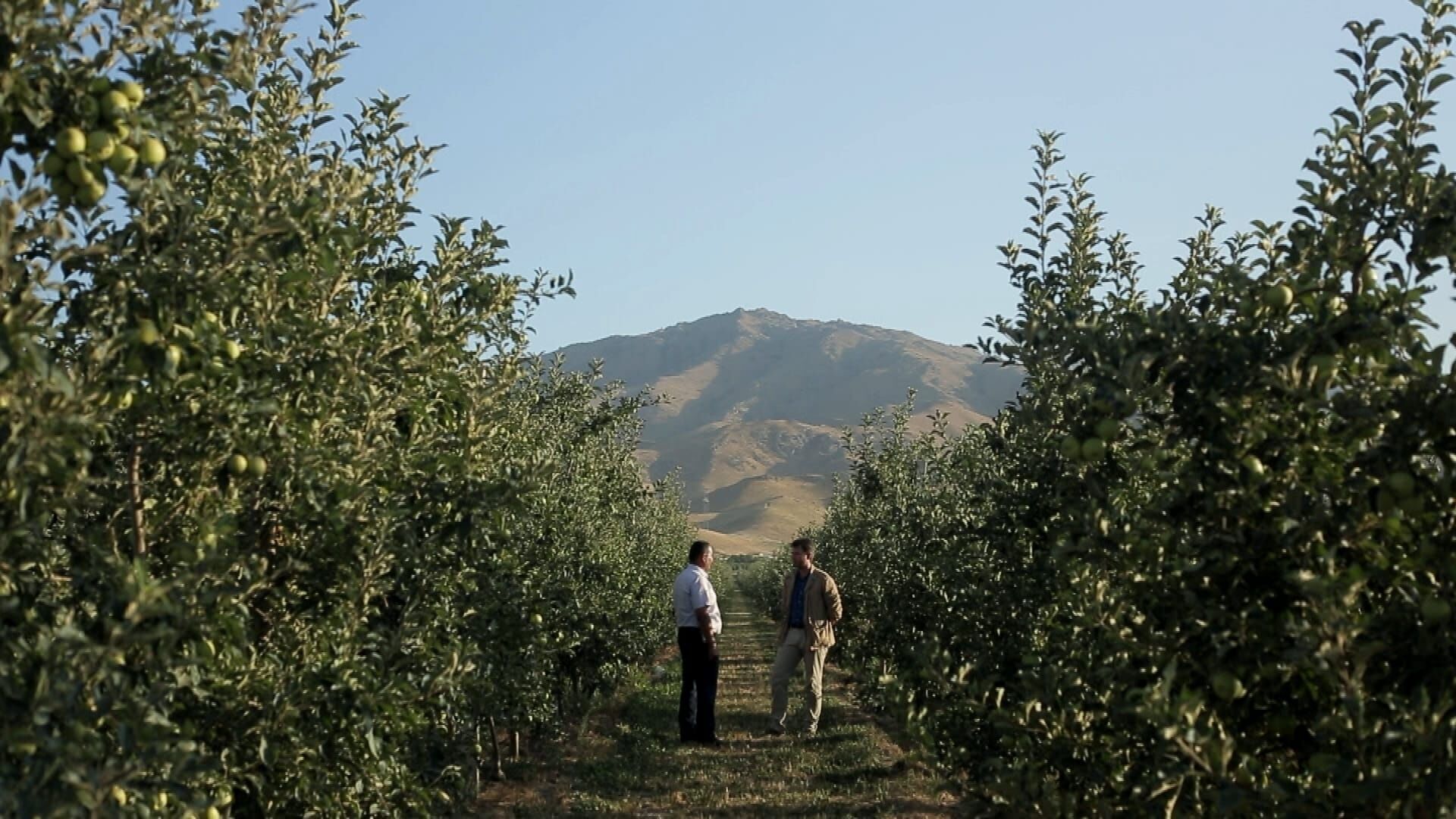 Abenteuer Seidenstraße