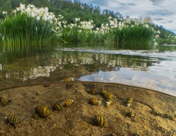Amérique du Nord : L'empire de la nature