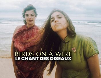Birds on a Wire - Le Chant des oiseaux