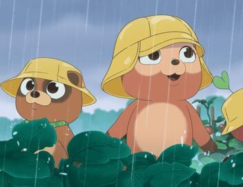 Taki Tanuki