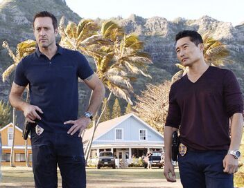 Hawaii 5-0