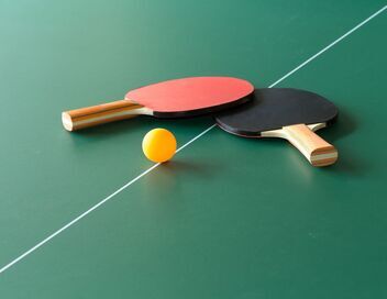 Tennis de table : WTT Champions de Francfort