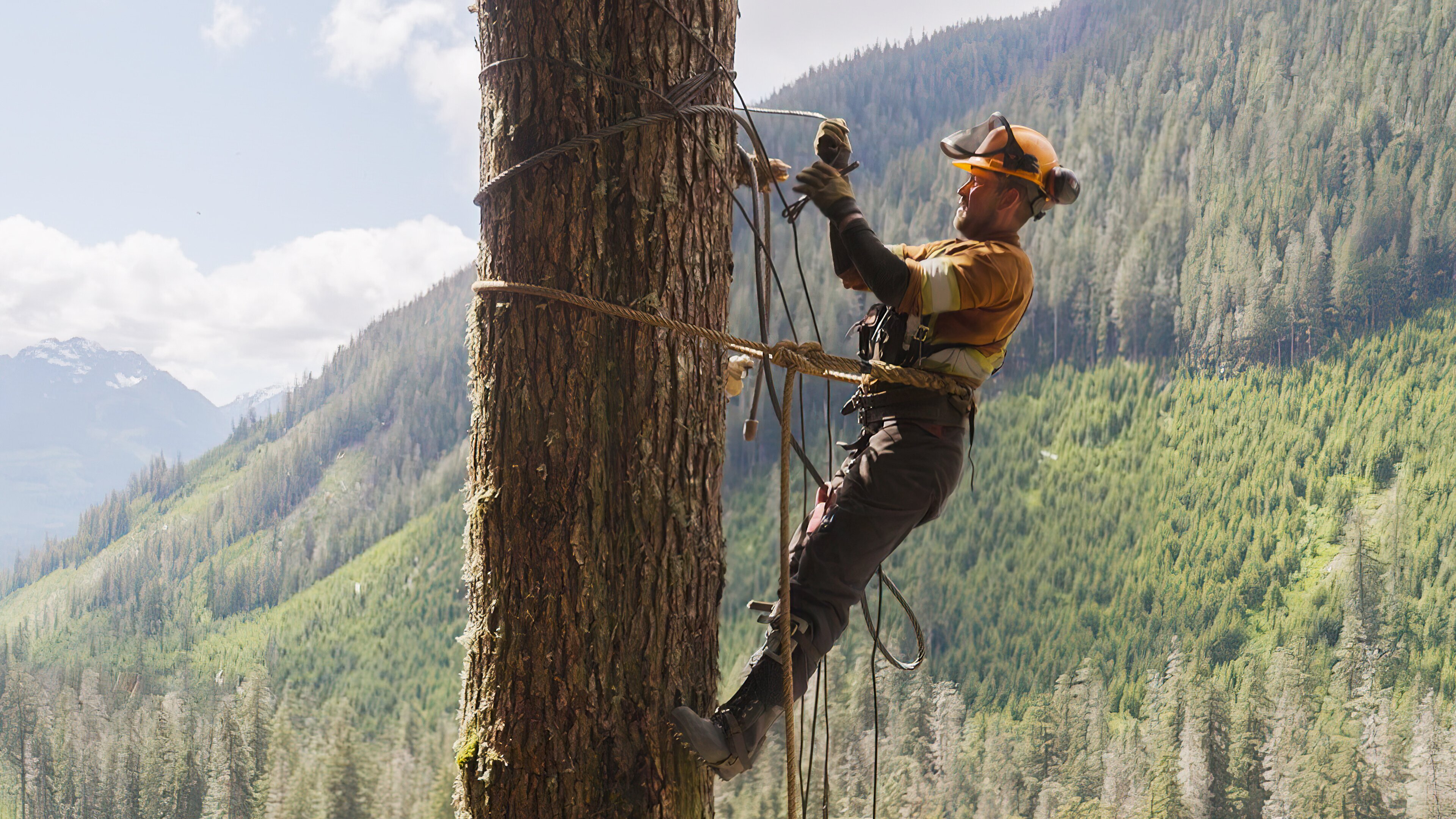 The Last Woodsmen – Holzfäller am Limit