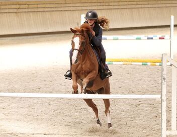 Au galop ! Une saison à cheval