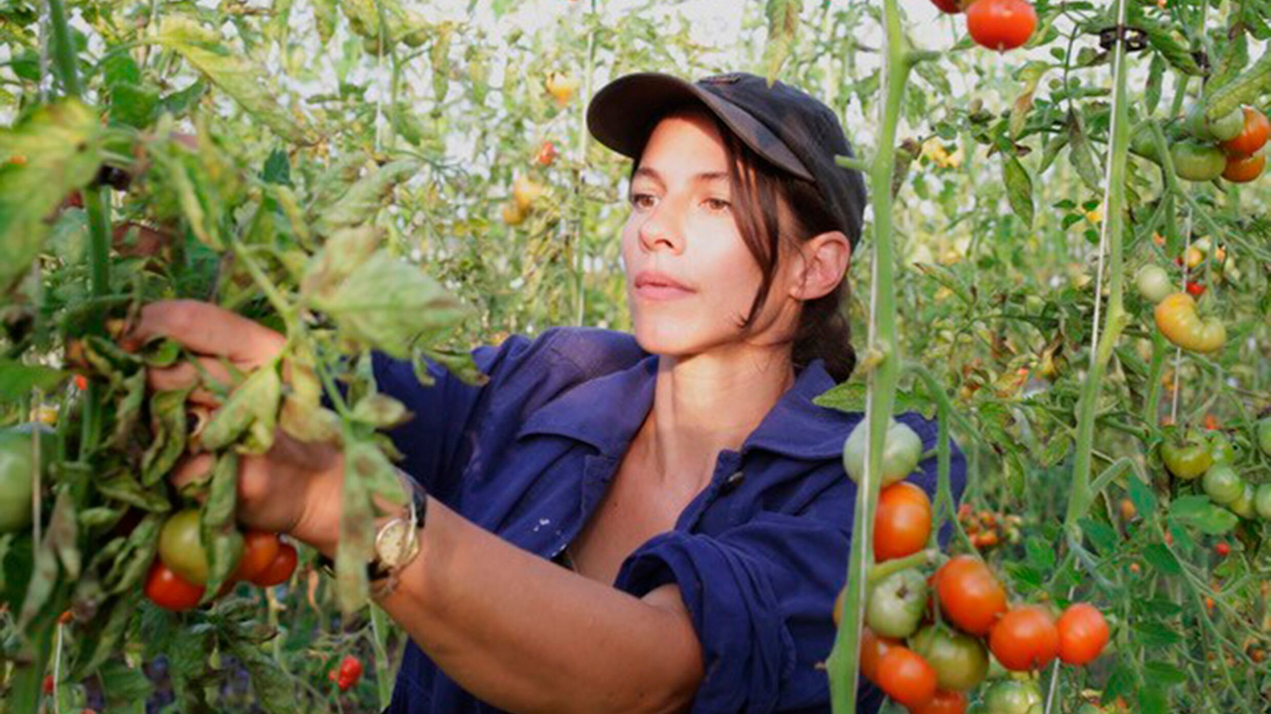 Marias Garten