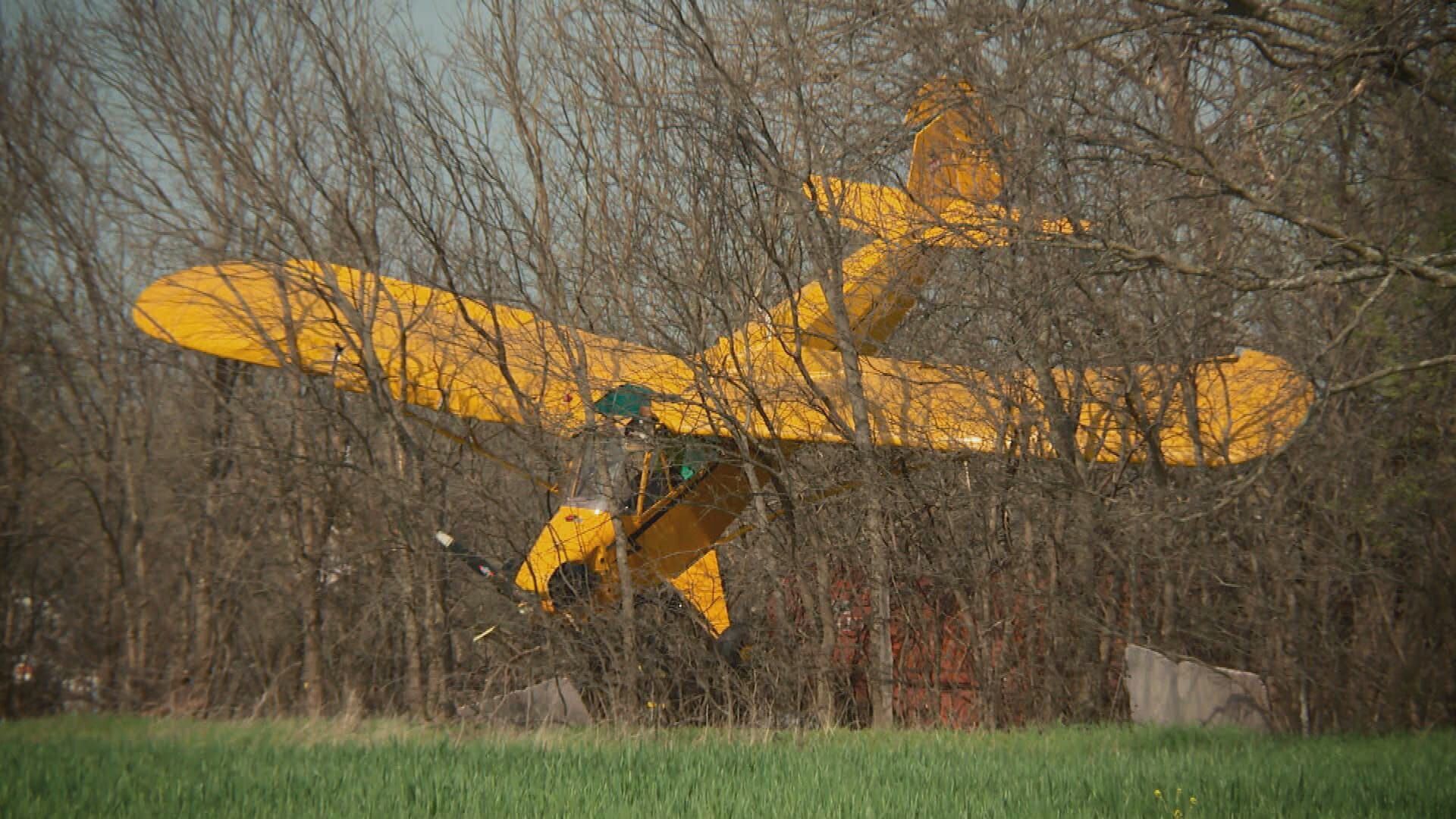 Lone Star Law – Die Gesetzeshüter von Texas