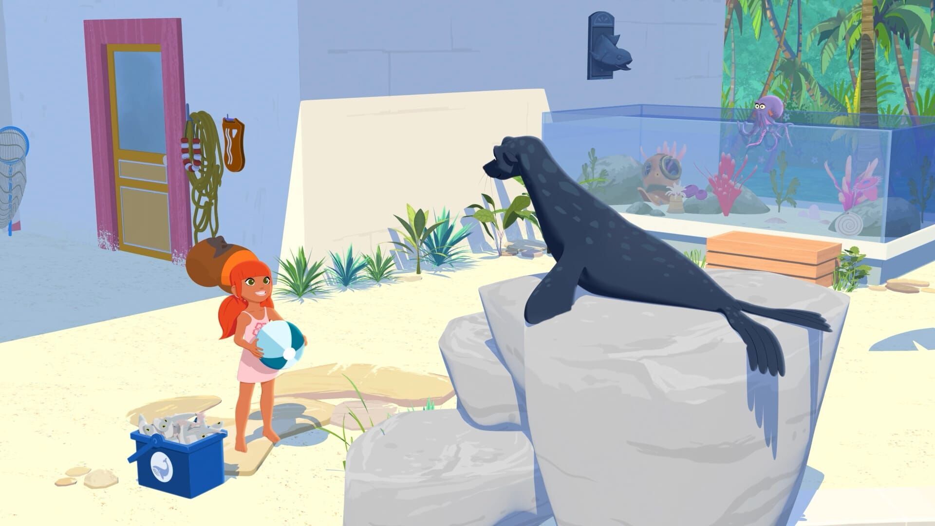 Zoom – Der weiße Delfin