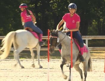 Au galop ! Une saison à cheval