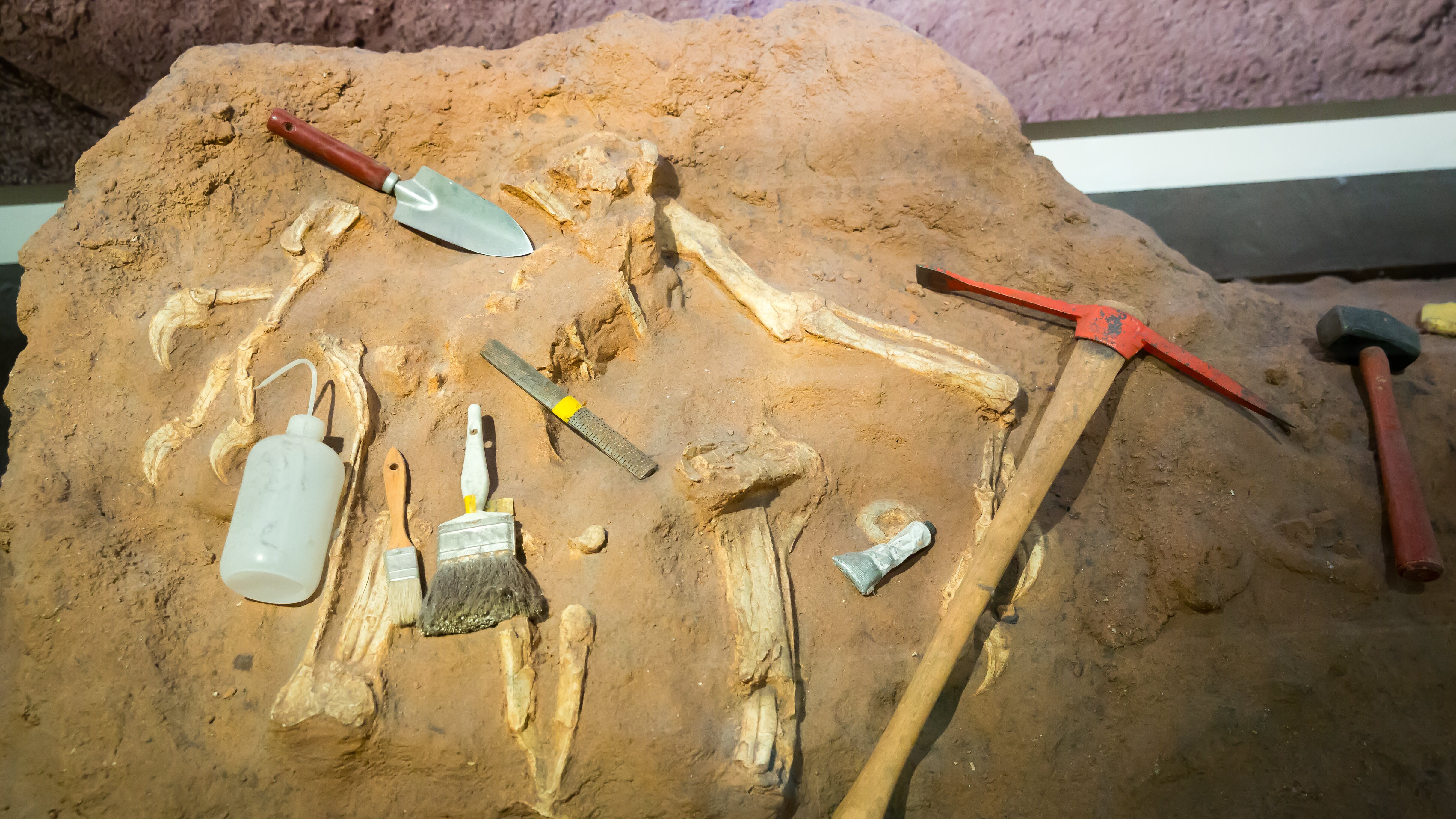 Verborgen in der Finsternis: Geheimnisse der Vergangenheit