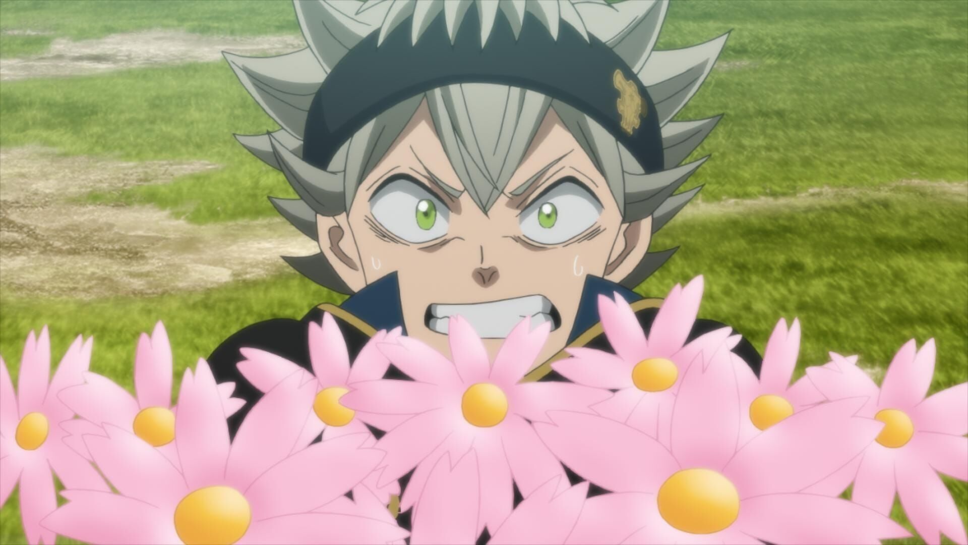 Black Clover