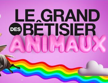 Le grand bêtisier des animaux