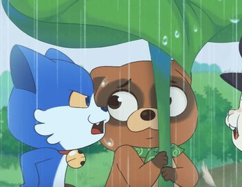 Taki Tanuki