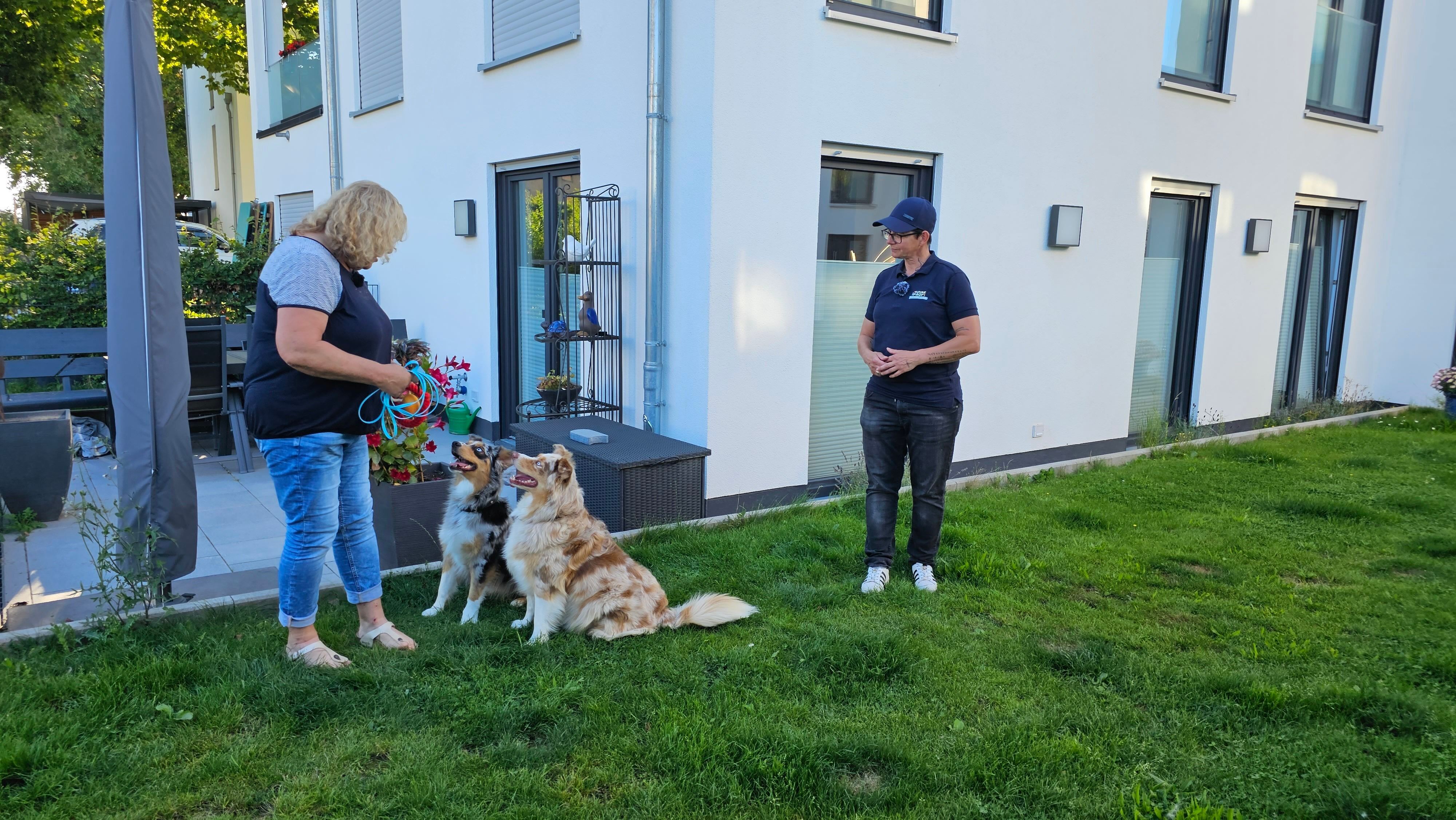 Der Hundeprofi – Rütters Team