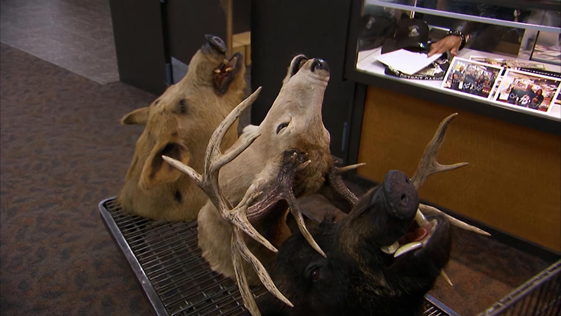 Hardcore Pawn – Das härteste Pfandhaus Detroits