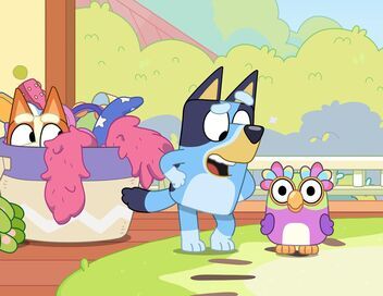 Bluey