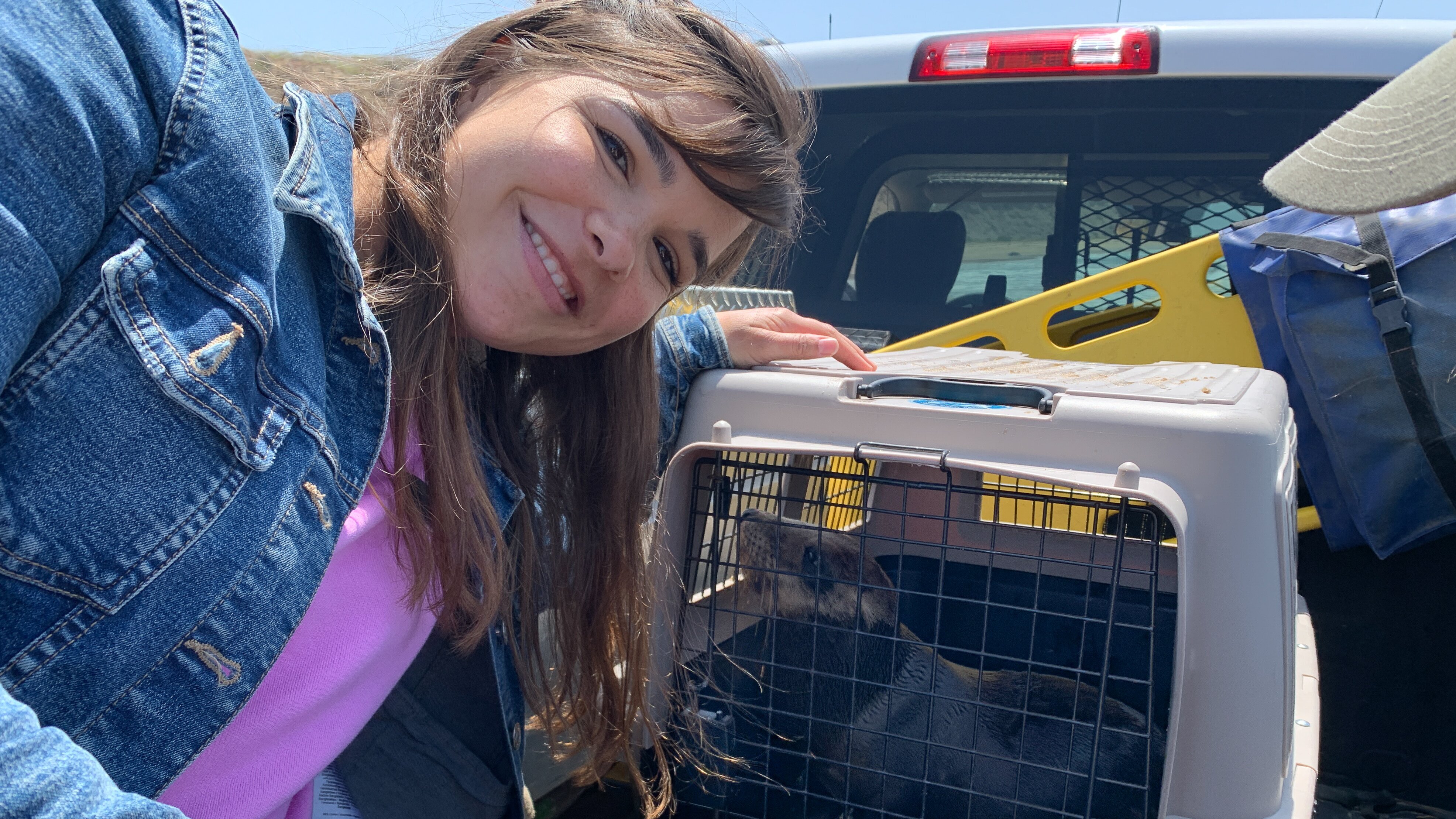 Anna und die wilden Tiere
