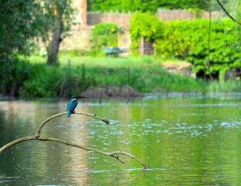 La vie secrète des jardins britanniques