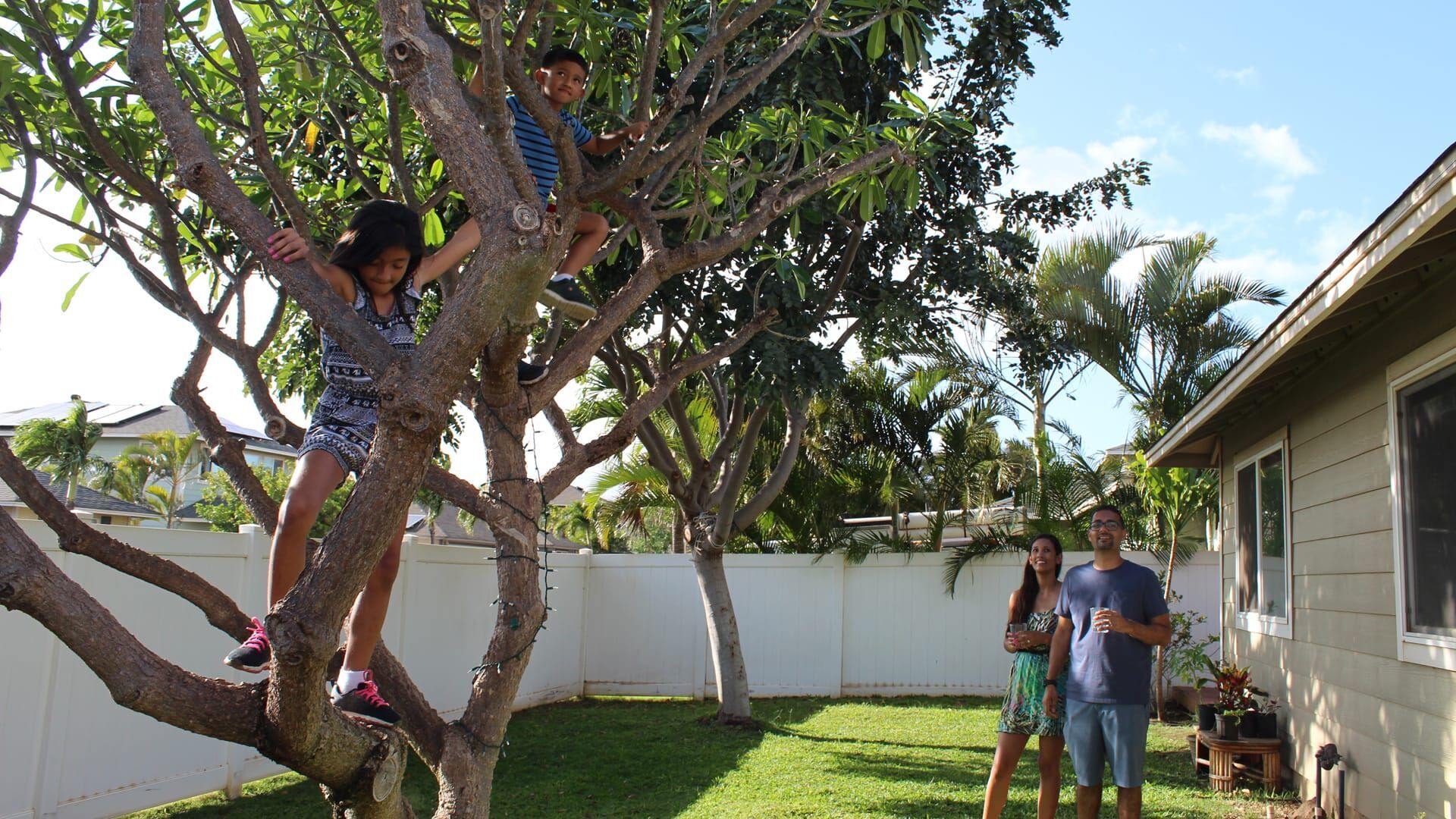 Hawaii Hunters