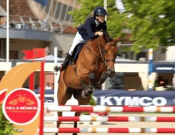 Au galop ! Une saison à cheval