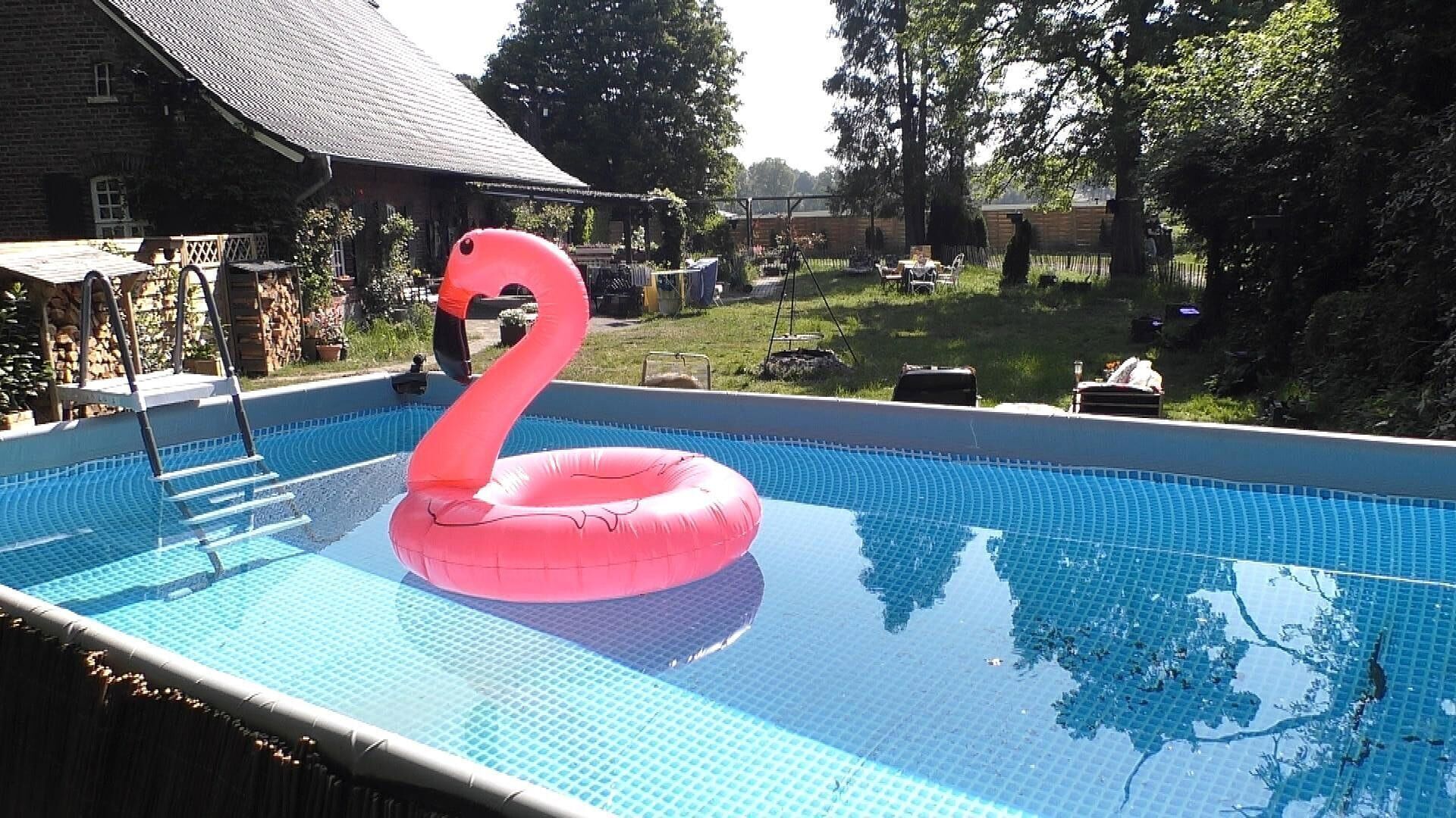 Das Sommerhaus der Stars – Das große Wiedersehen