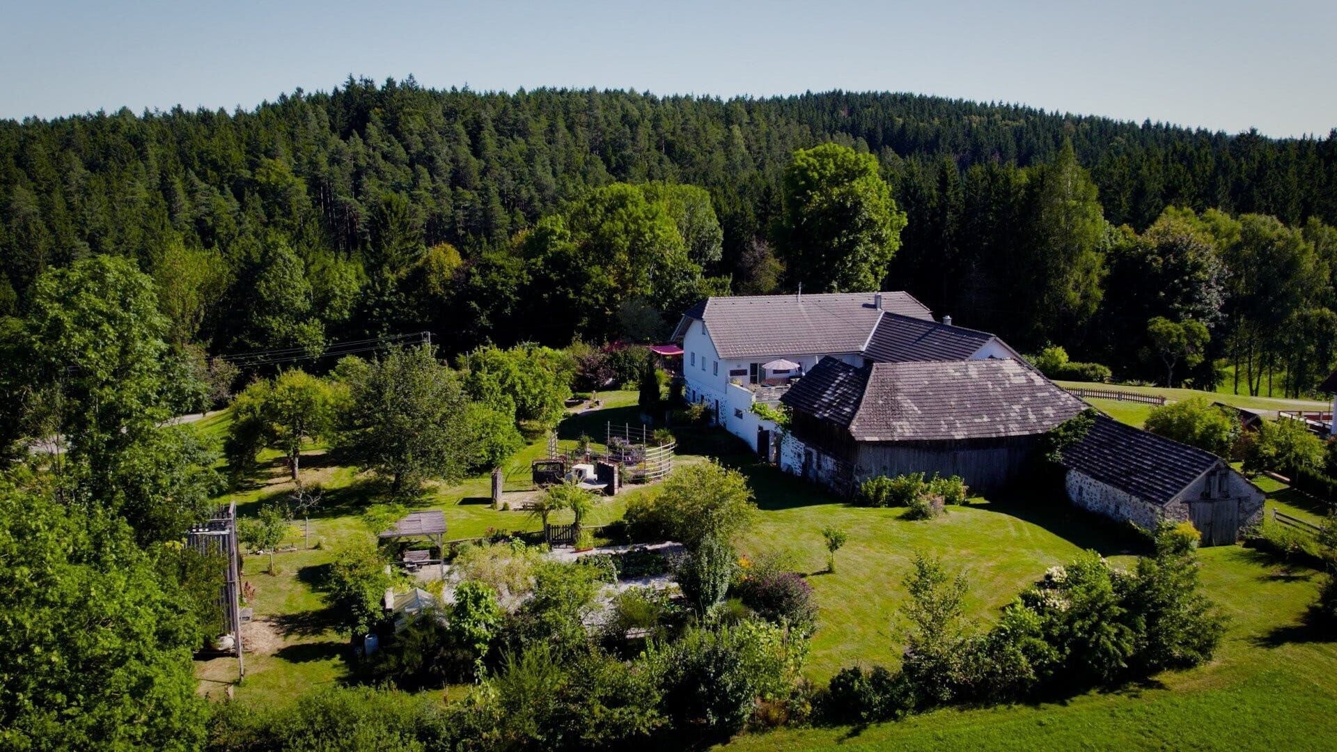 Natur im Garten