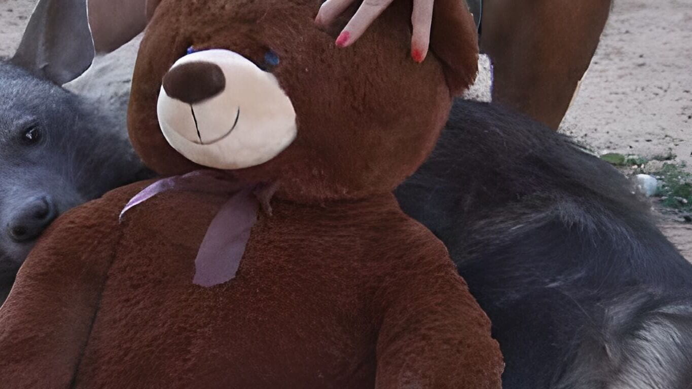 Das Waisenhaus für wilde Tiere – Abenteuer Afrika