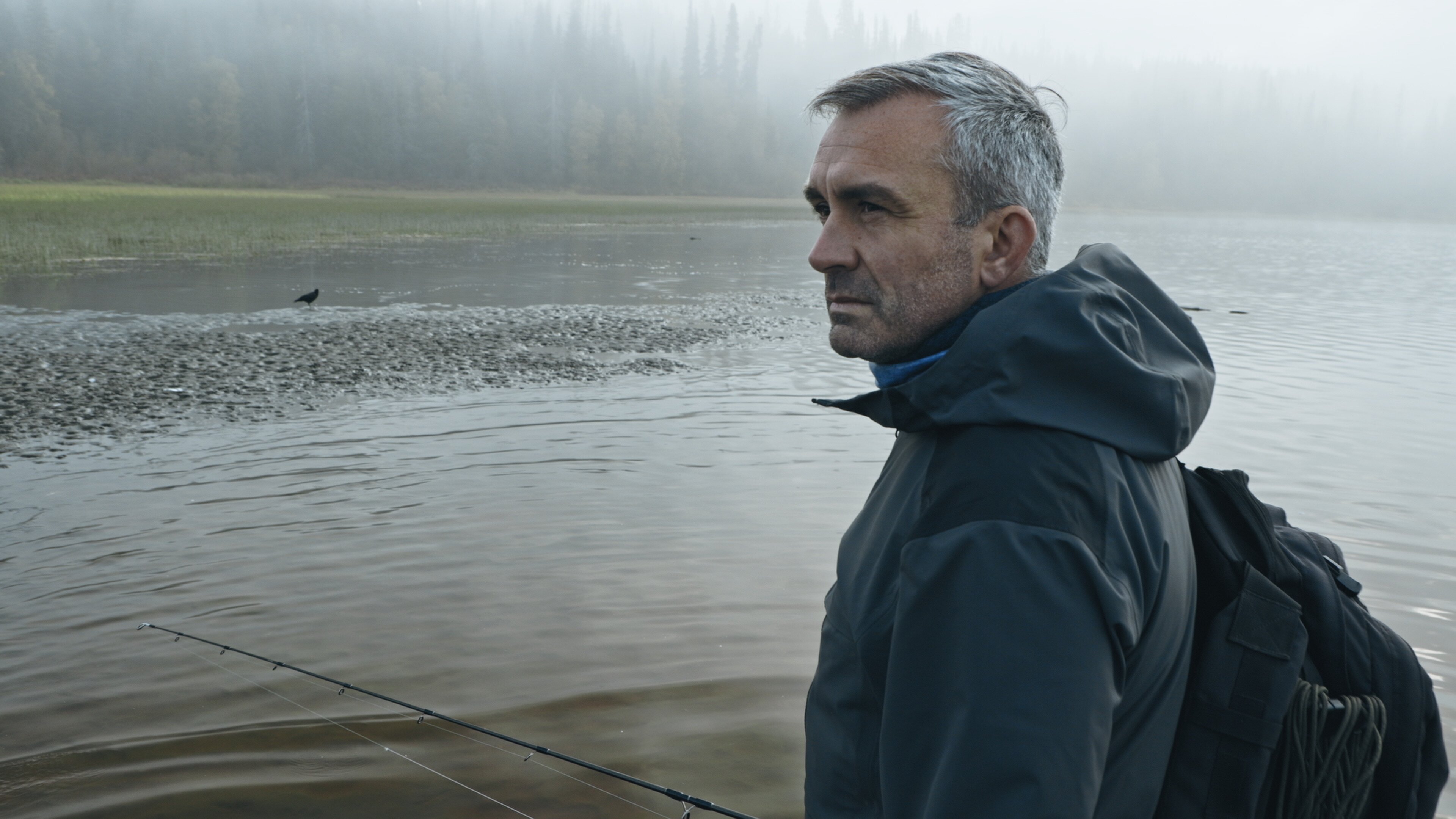 Giganten unter Wasser – Riesenfischen auf der Spur