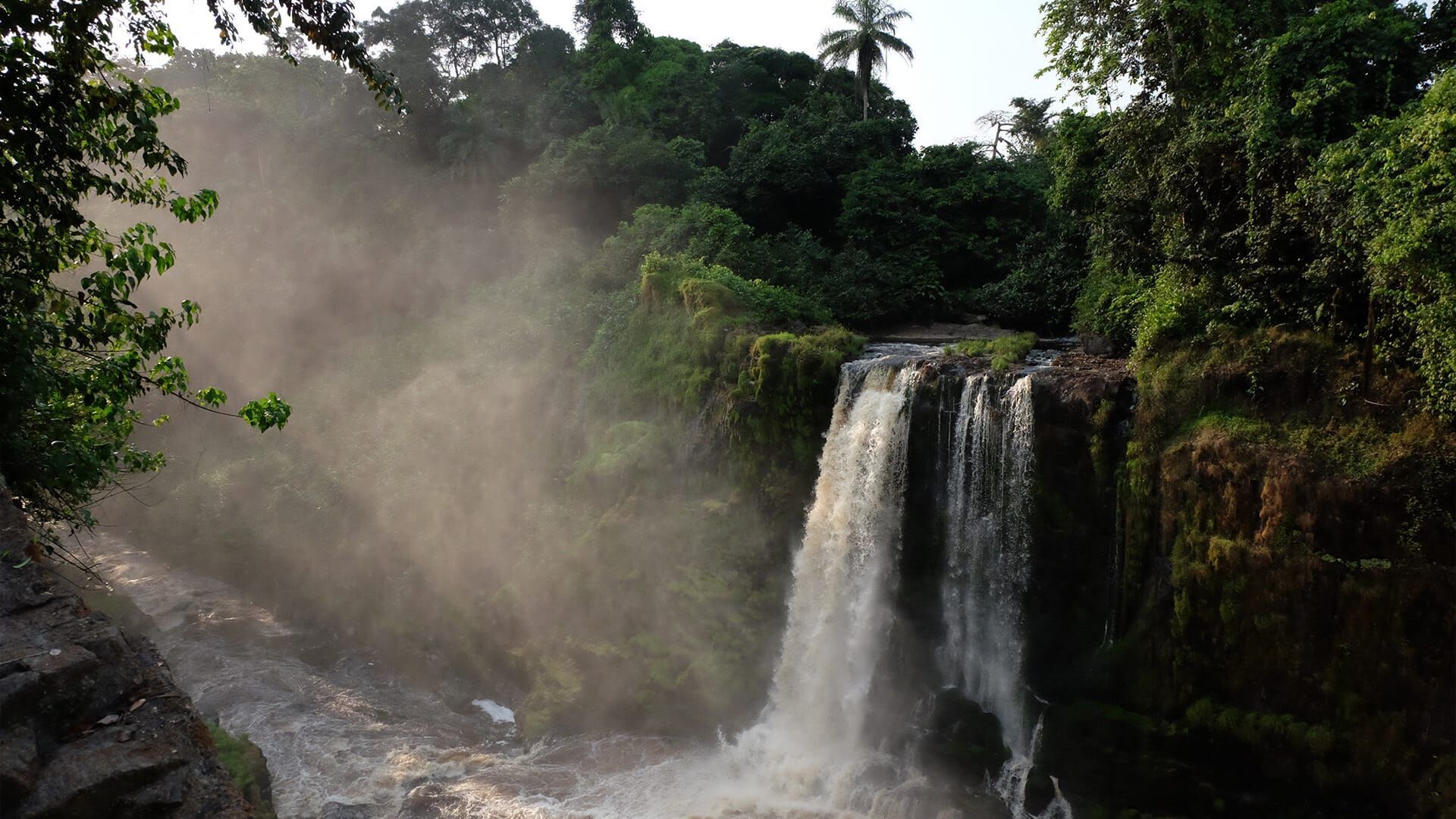 Gabun – Der Schatz im Regenwald