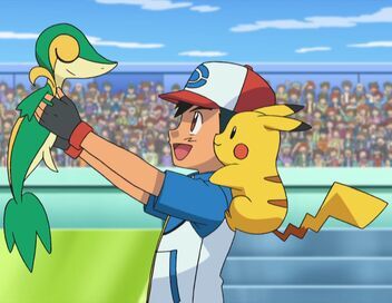 Pokémon : Noir et Blanc